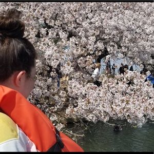 Meet your Posher, Jill